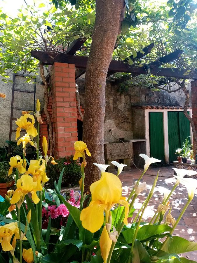 Nossa Casa Na Aldeia Apartment Viseu Ngoại thất bức ảnh
